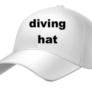 Diving Hat